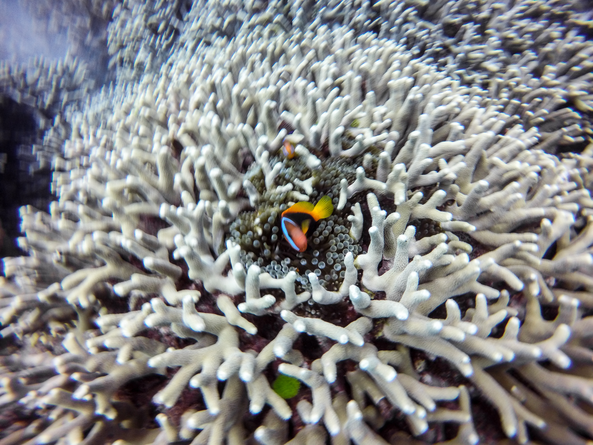 中欧体育赛事-:琒壥