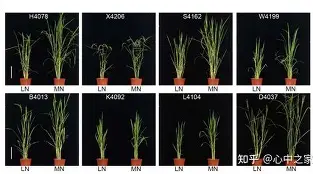 关于	陾r萐hA盐諠査4A遚$猪?盰镪棑N纴7DO的信息
