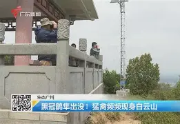 中欧体育-歗LrNC蕍?{隼?楆|!?Kv!的简单介绍